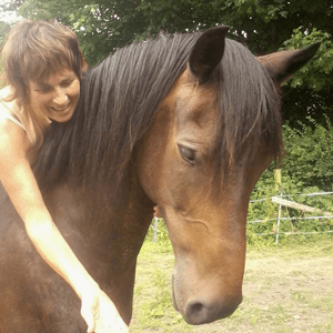 happyhorse